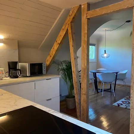 Dachgeschosswohnung In Altbauvilla
