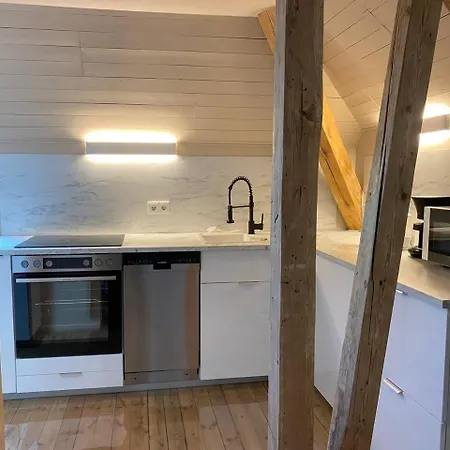 아파트 Dachgeschosswohnung In Altbauvilla *